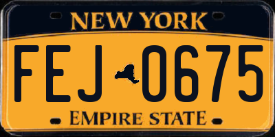 NY license plate FEJ0675