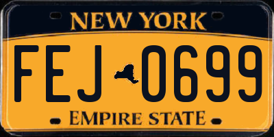 NY license plate FEJ0699