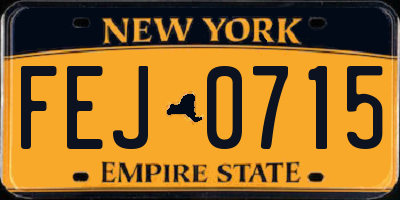 NY license plate FEJ0715