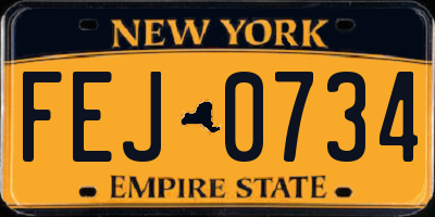 NY license plate FEJ0734
