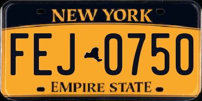 NY license plate FEJ0750