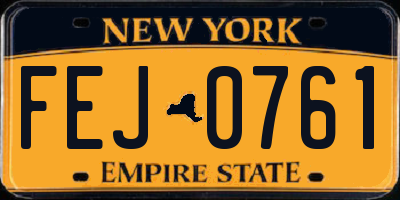NY license plate FEJ0761