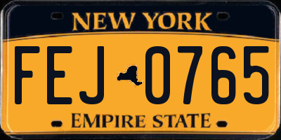 NY license plate FEJ0765