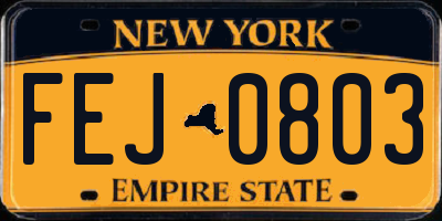 NY license plate FEJ0803