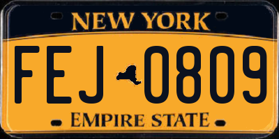 NY license plate FEJ0809
