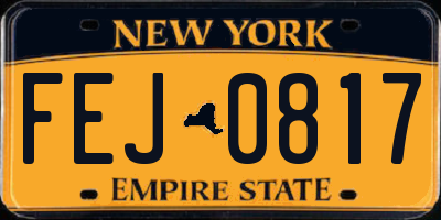NY license plate FEJ0817
