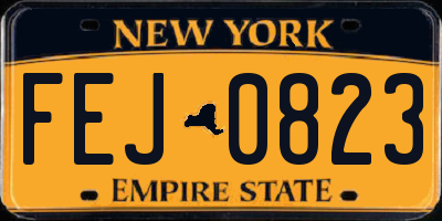 NY license plate FEJ0823