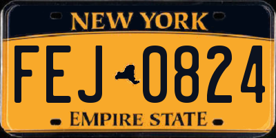 NY license plate FEJ0824