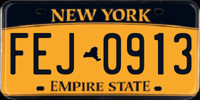 NY license plate FEJ0913