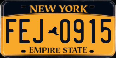NY license plate FEJ0915
