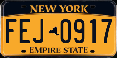 NY license plate FEJ0917