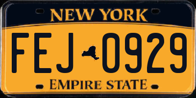 NY license plate FEJ0929