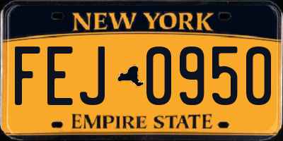 NY license plate FEJ0950