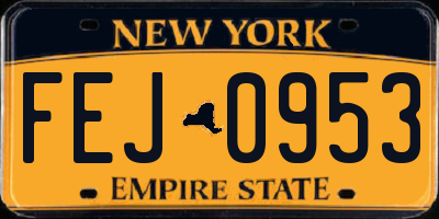 NY license plate FEJ0953