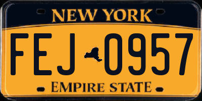 NY license plate FEJ0957