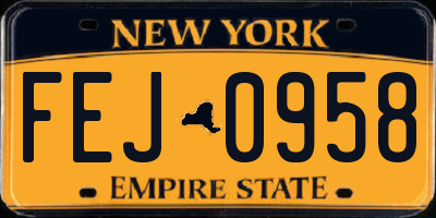 NY license plate FEJ0958