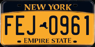 NY license plate FEJ0961