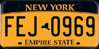 NY license plate FEJ0969