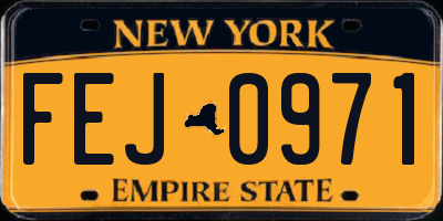 NY license plate FEJ0971