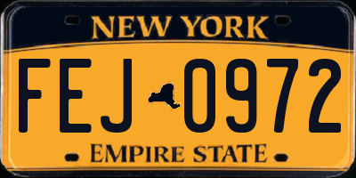 NY license plate FEJ0972
