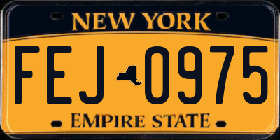 NY license plate FEJ0975