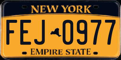 NY license plate FEJ0977