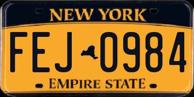 NY license plate FEJ0984