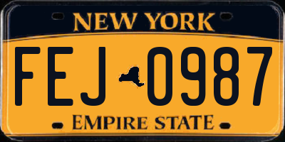 NY license plate FEJ0987
