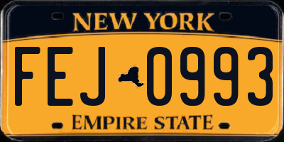 NY license plate FEJ0993