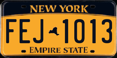 NY license plate FEJ1013