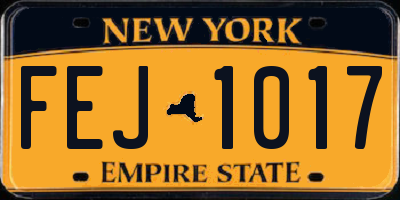 NY license plate FEJ1017