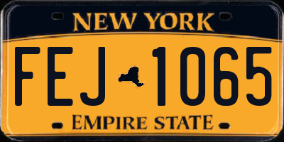 NY license plate FEJ1065