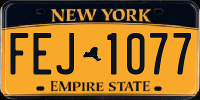 NY license plate FEJ1077