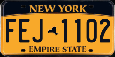 NY license plate FEJ1102