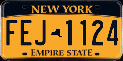 NY license plate FEJ1124
