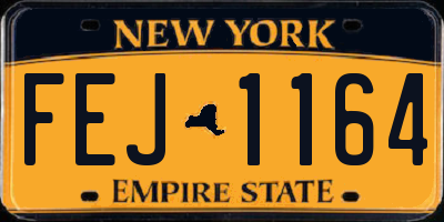 NY license plate FEJ1164