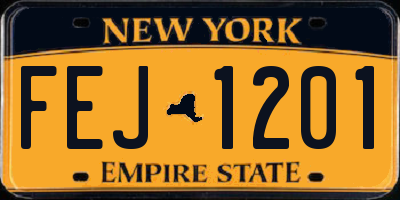 NY license plate FEJ1201