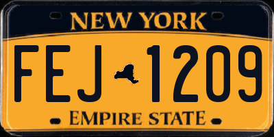NY license plate FEJ1209