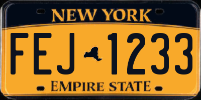 NY license plate FEJ1233