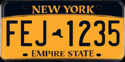 NY license plate FEJ1235