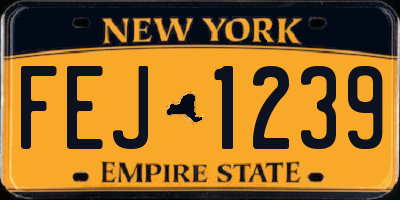 NY license plate FEJ1239