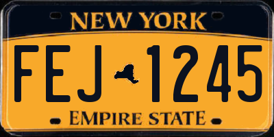 NY license plate FEJ1245