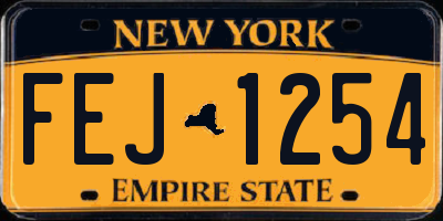 NY license plate FEJ1254