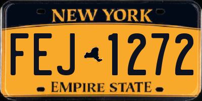 NY license plate FEJ1272