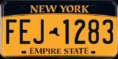 NY license plate FEJ1283