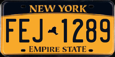 NY license plate FEJ1289