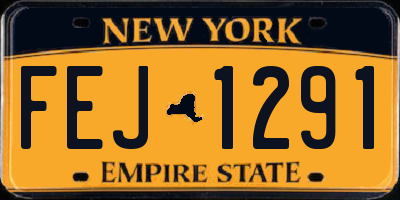 NY license plate FEJ1291