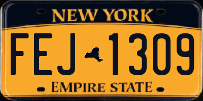 NY license plate FEJ1309
