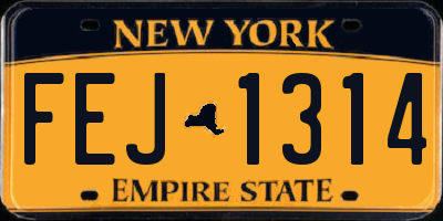 NY license plate FEJ1314