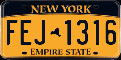 NY license plate FEJ1316